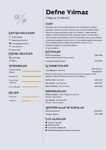 Yönetici CV Örnekleri cv indir